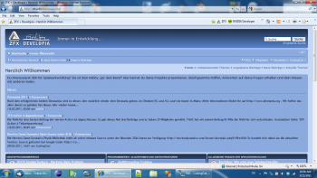 vorher.png (211.56 KiB) 5280 mal betrachtet IE8 (Vorher)