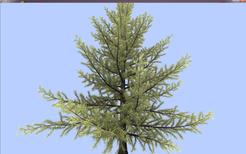 tree.png