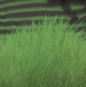 detail2.jpg