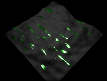 ogl_emerald_stone.png (454.24 KiB) 11490 mal betrachtet Emerald Adern