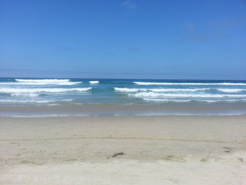 2012-07-15 10.53.19.jpg