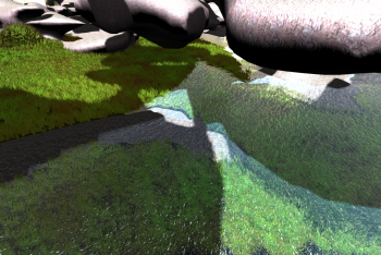 13-03-10_water-grass-shadow.png