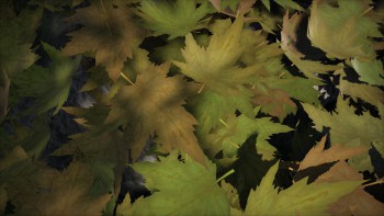 20160420_3.jpg