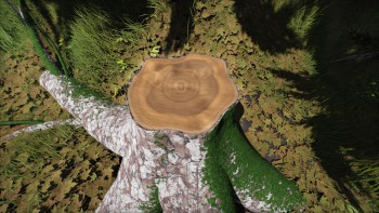 20170203_4.jpg (1.33 MiB) 7804 mal betrachtet 20170203_4.jpg