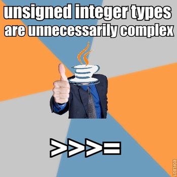 unsigned integer types.jpg